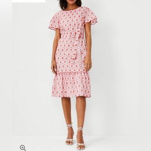 Ann Taylor eyelet embroidered dress